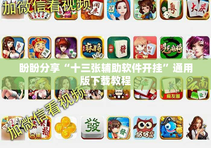 盼盼分享“十三张辅助软件开挂”通用版下载教程