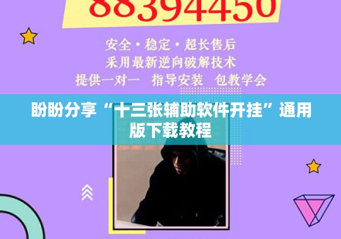 盼盼分享“十三张辅助软件开挂”通用版下载教程