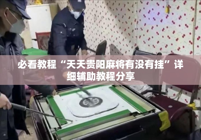 必看教程“天天贵阳麻将有没有挂”详细辅助教程分享