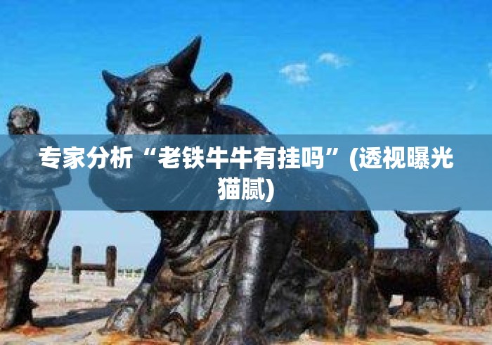 专家分析“老铁牛牛有挂吗”(透视曝光猫腻)