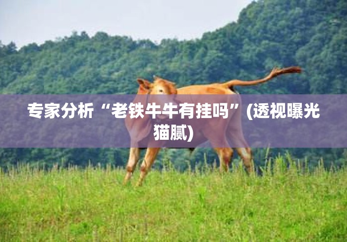 专家分析“老铁牛牛有挂吗”(透视曝光猫腻)