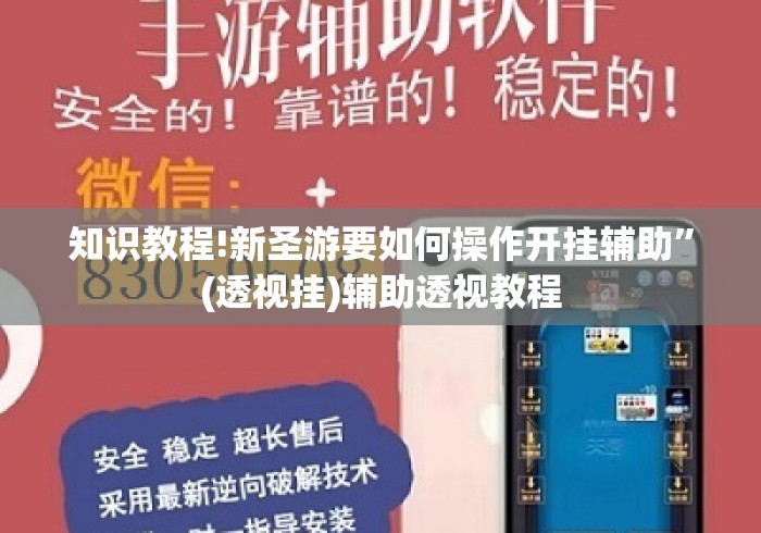 知识教程!新圣游要如何操作开挂辅助”(透视挂)辅助透视教程