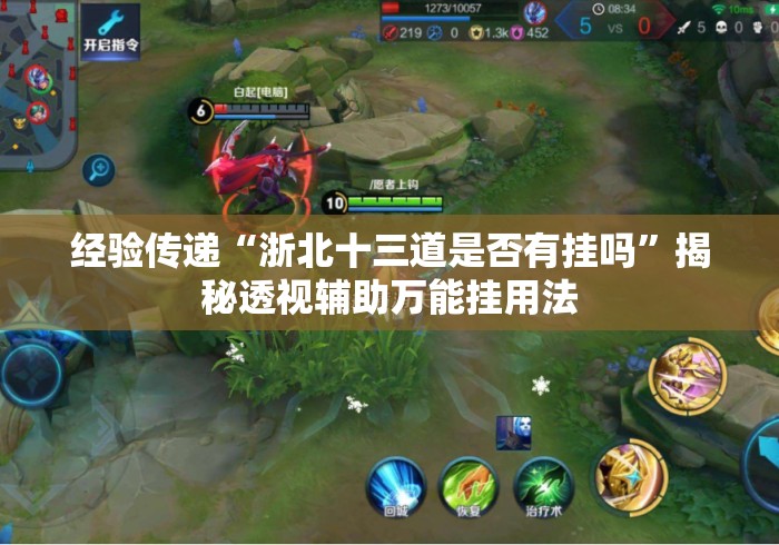 经验传递“浙北十三道是否有挂吗	”揭秘透视辅助万能挂用法