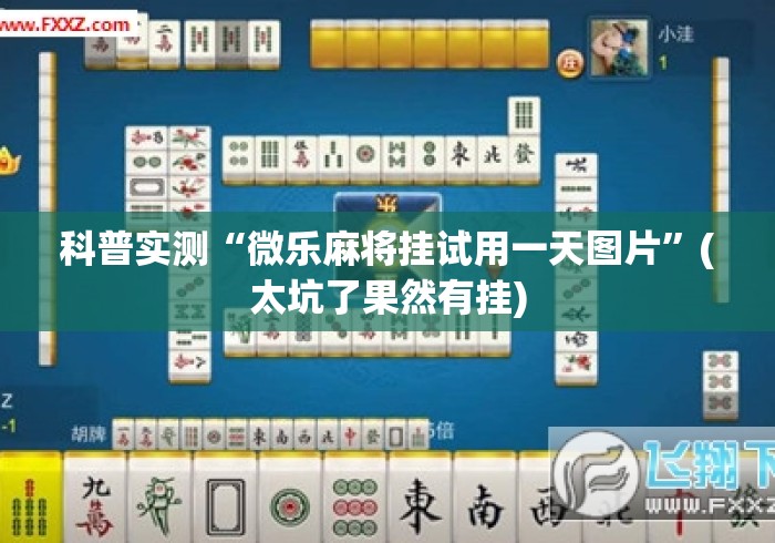 科普实测“微乐麻将挂试用一天图片”(太坑了果然有挂)