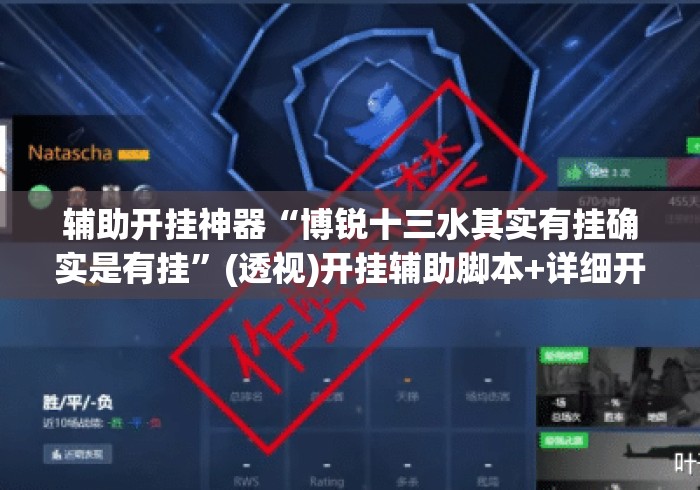 辅助开挂神器“博锐十三水其实有挂确实是有挂”(透视)开挂辅助脚本+详细开挂安装教程
