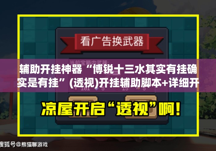 辅助开挂神器“博锐十三水其实有挂确实是有挂”(透视)开挂辅助脚本+详细开挂安装教程