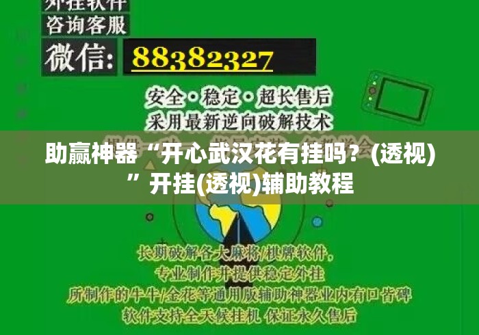 助赢神器“开心武汉花有挂吗？(透视)”开挂(透视)辅助教程