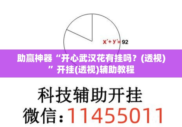 助赢神器“开心武汉花有挂吗？(透视)”开挂(透视)辅助教程