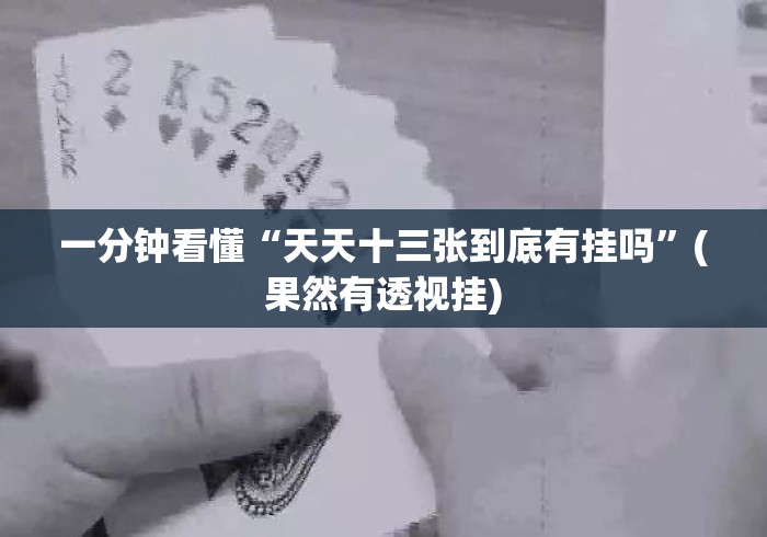 一分钟看懂“天天十三张到底有挂吗”(果然有透视挂)