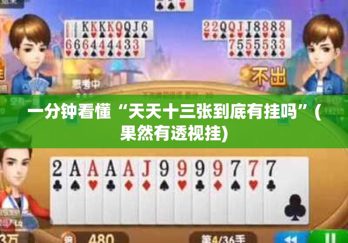 一分钟看懂“天天十三张到底有挂吗”(果然有透视挂)