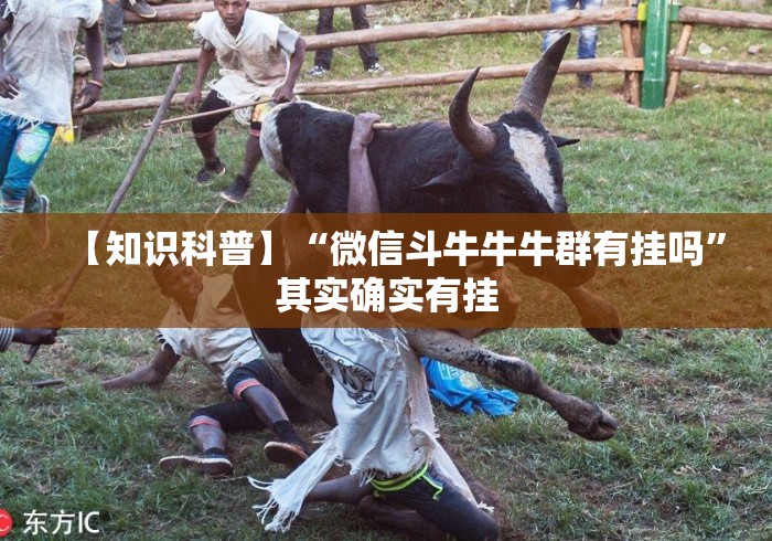【知识科普】“微信斗牛牛牛群有挂吗”其实确实有挂