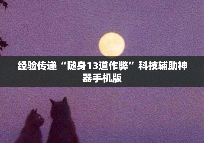 经验传递“随身13道作弊”科技辅助神器手机版