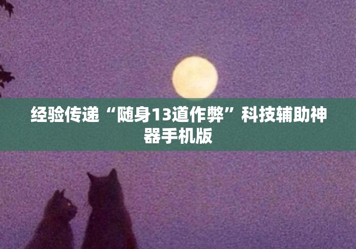 经验传递“随身13道作弊”科技辅助神器手机版
