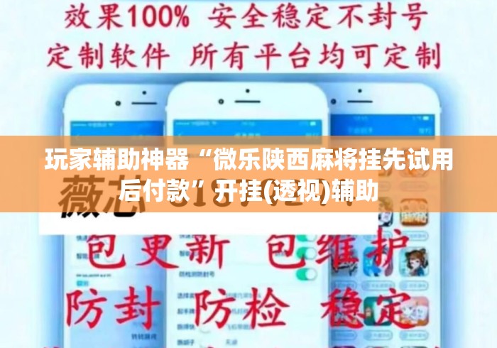 玩家辅助神器“微乐陕西麻将挂先试用后付款”开挂(透视)辅助