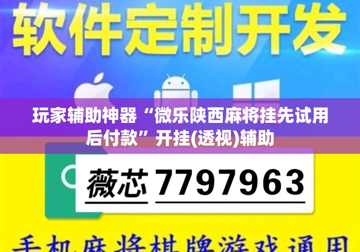玩家辅助神器“微乐陕西麻将挂先试用后付款	”开挂(透视)辅助