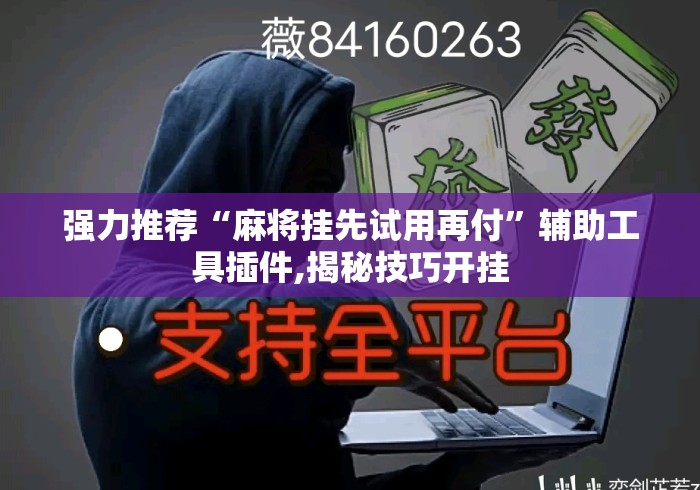 强力推荐“麻将挂先试用再付”辅助工具插件,揭秘技巧开挂
