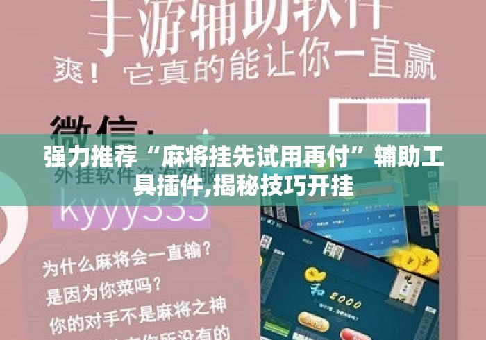 强力推荐“麻将挂先试用再付”辅助工具插件,揭秘技巧开挂