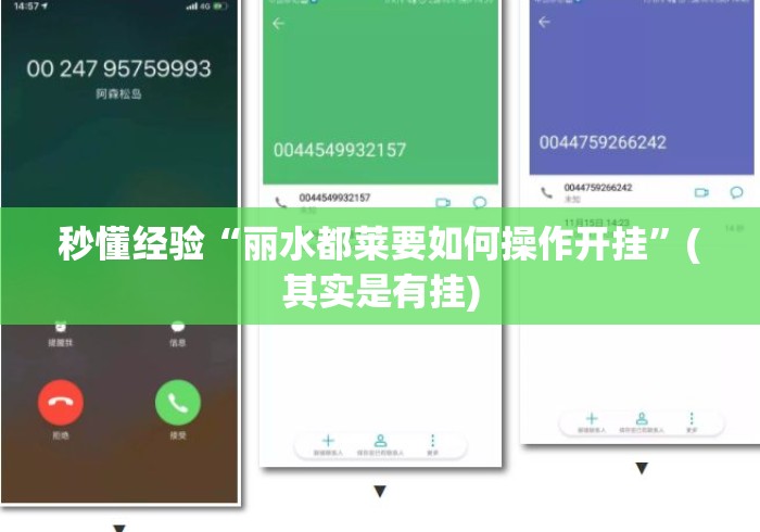 秒懂经验“丽水都莱要如何操作开挂”(其实是有挂)