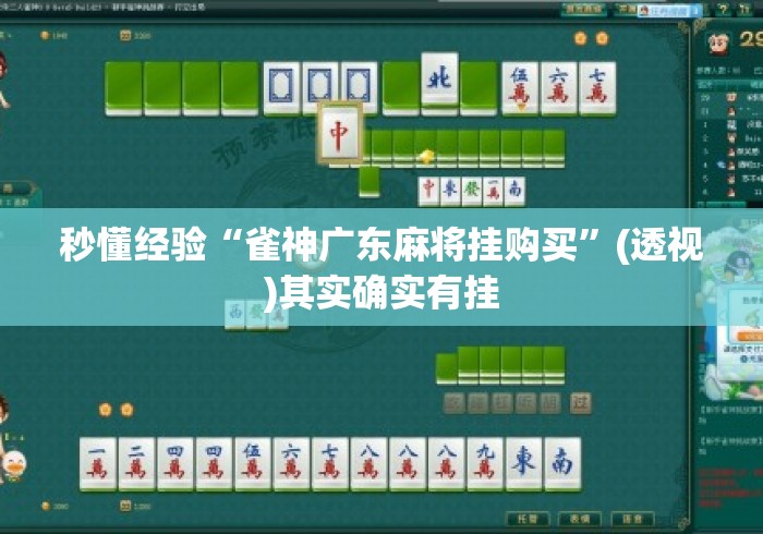 秒懂经验“雀神广东麻将挂购买”(透视)其实确实有挂