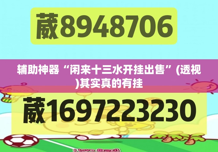 辅助神器“闲来十三水开挂出售”(透视)其实真的有挂