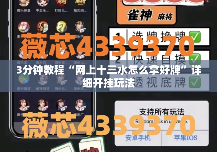3分钟教程“网上十三水怎么拿好牌”详细开挂玩法