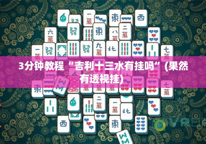 3分钟教程“吉利十三水有挂吗”(果然有透视挂) 
