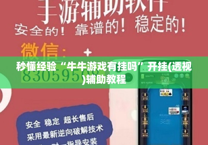 秒懂经验“牛牛游戏有挂吗”开挂(透视)辅助教程