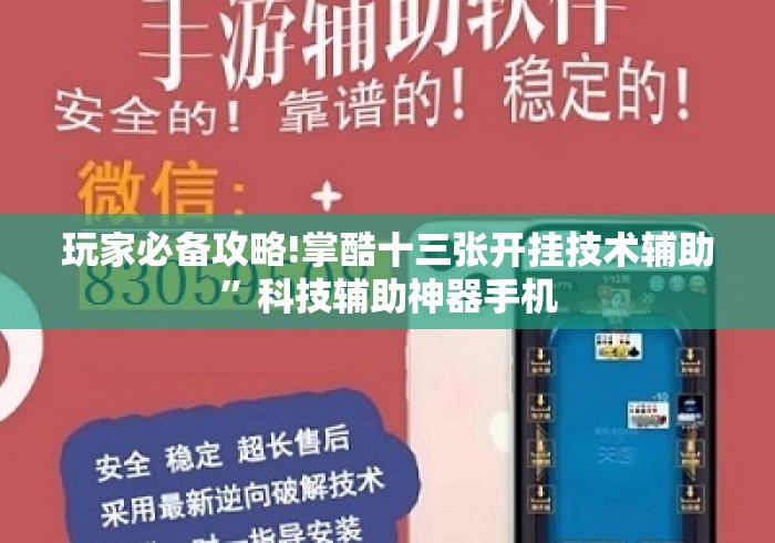 玩家必备攻略!掌酷十三张开挂技术辅助”科技辅助神器手机