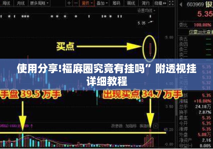 使用分享!福麻圈究竟有挂吗”附透视挂详细教程