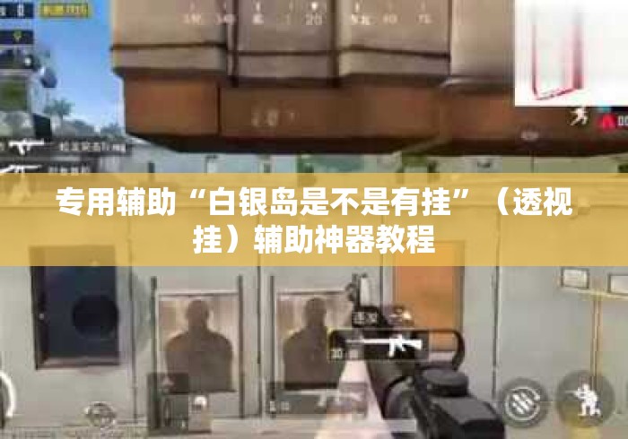 专用辅助“白银岛是不是有挂”（透视挂）辅助神器教程