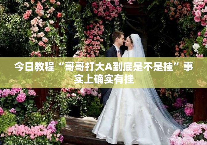 今日教程“哥哥打大A到底是不是挂”事实上确实有挂