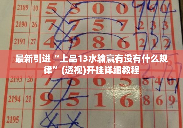 最新引进“上品13水输赢有没有什么规律”(透视)开挂详细教程
