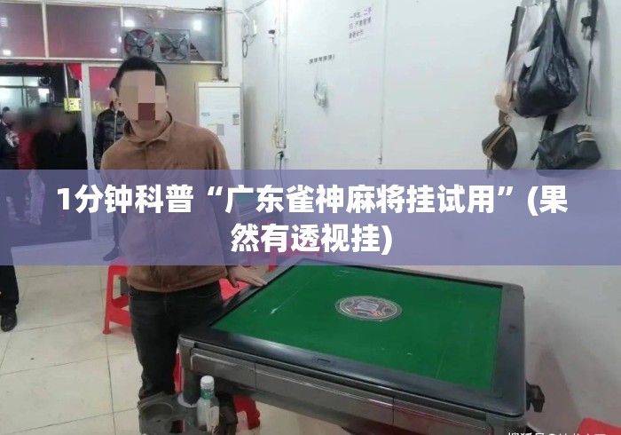 1分钟科普“广东雀神麻将挂试用”(果然有透视挂)