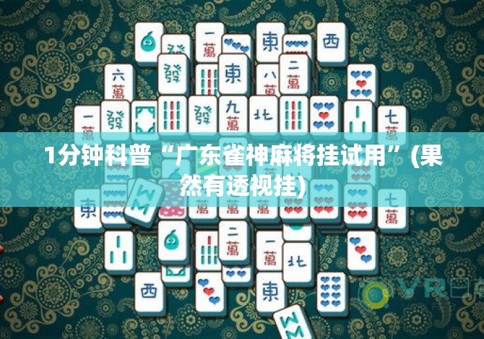 1分钟科普“广东雀神麻将挂试用”(果然有透视挂)