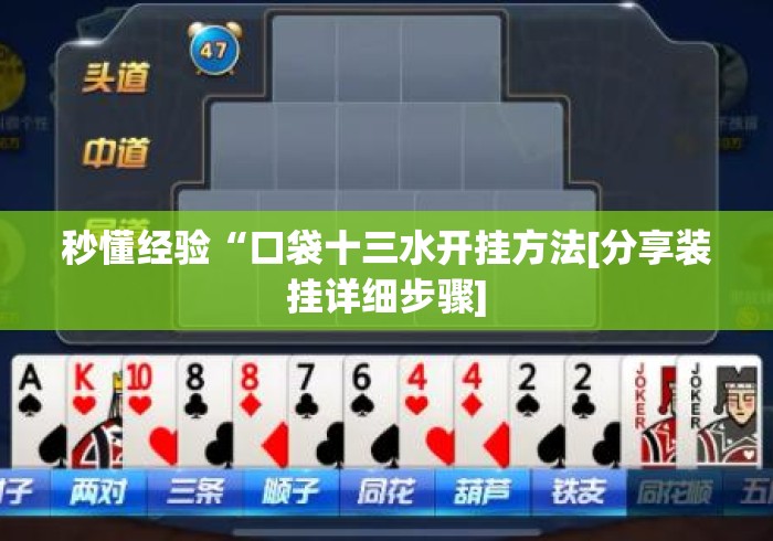 秒懂经验“口袋十三水开挂方法[分享装挂详细步骤]