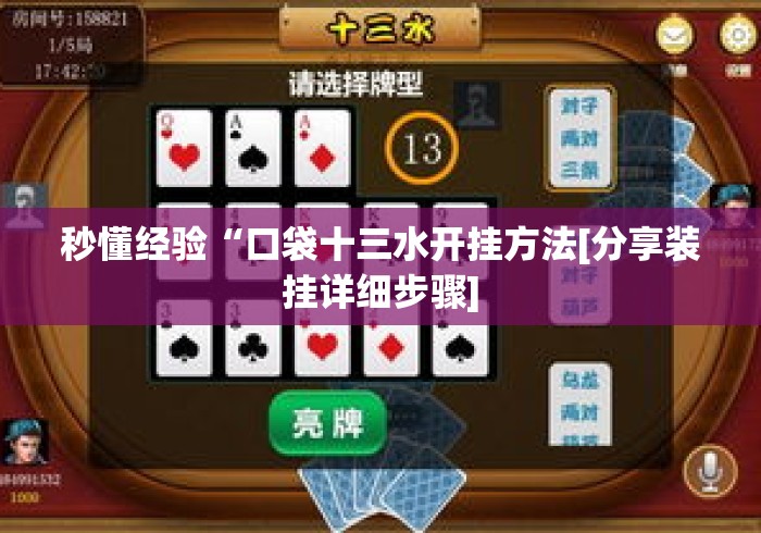 秒懂经验“口袋十三水开挂方法[分享装挂详细步骤]