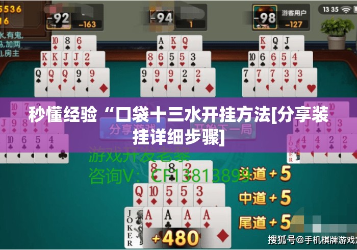 秒懂经验“口袋十三水开挂方法[分享装挂详细步骤]