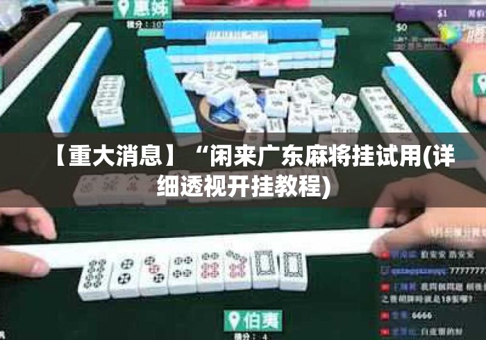 【重大消息】“闲来广东麻将挂试用(详细透视开挂教程)