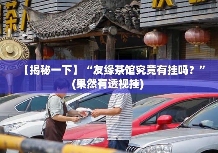 【揭秘一下】“友缘茶馆究竟有挂吗？”(果然有透视挂) 