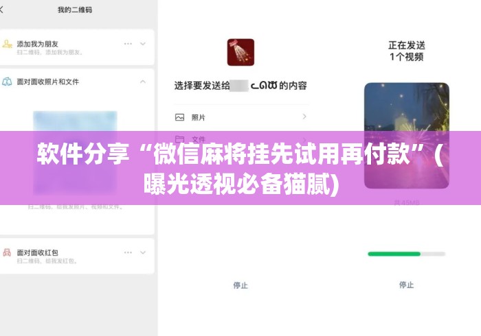 软件分享“微信麻将挂先试用再付款”(曝光透视必备猫腻)