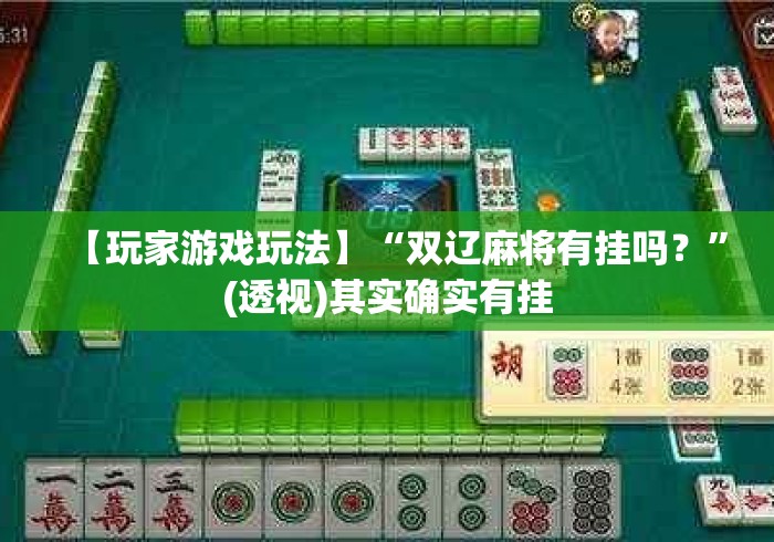 【玩家游戏玩法】“双辽麻将有挂吗？”(透视)其实确实有挂