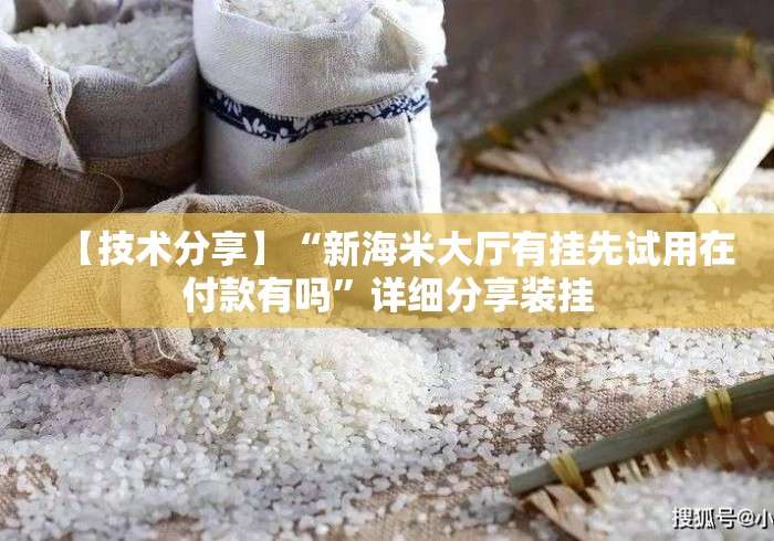 【技术分享】“新海米大厅有挂先试用在付款有吗	”详细分享装挂