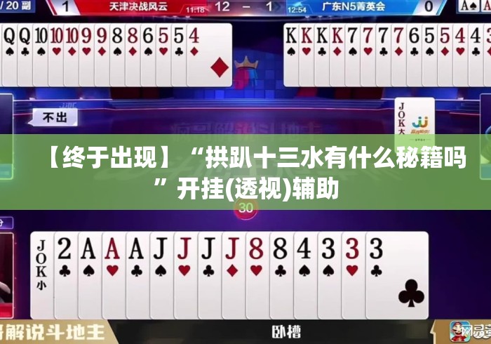【终于出现】“拱趴十三水有什么秘籍吗”开挂(透视)辅助
