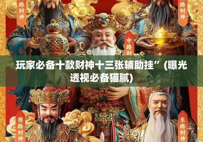 玩家必备十款财神十三张辅助挂”(曝光透视必备猫腻)