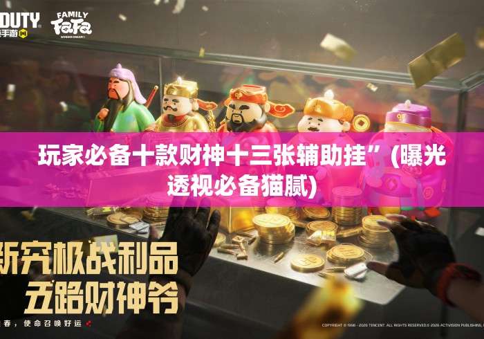玩家必备十款财神十三张辅助挂	”(曝光透视必备猫腻)