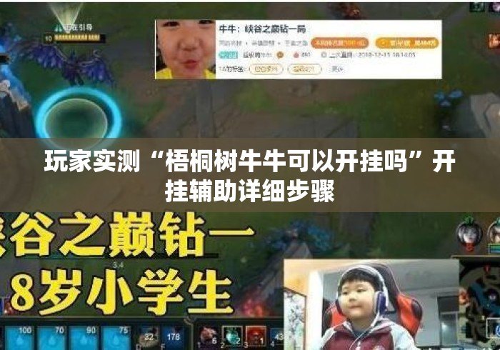 玩家实测“梧桐树牛牛可以开挂吗”开挂辅助详细步骤