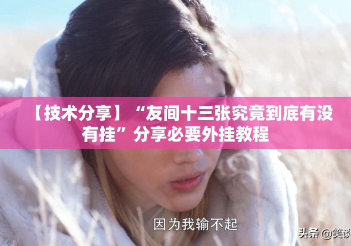 【技术分享】“友间十三张究竟到底有没有挂”分享必要外挂教程