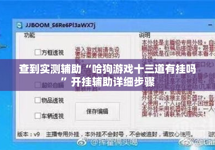 查到实测辅助“哈狗游戏十三道有挂吗”开挂辅助详细步骤
