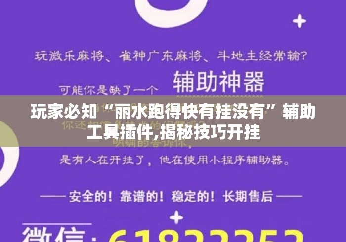 玩家必知“丽水跑得快有挂没有”辅助工具插件,揭秘技巧开挂