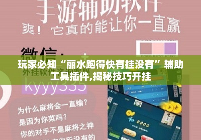 玩家必知“丽水跑得快有挂没有”辅助工具插件,揭秘技巧开挂
